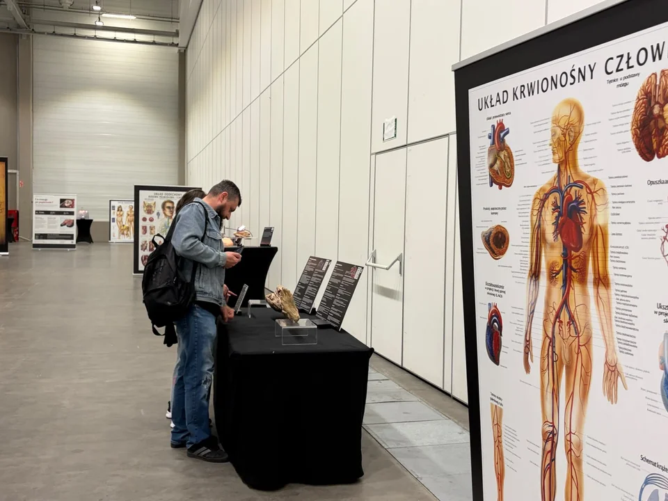 Prawdziwe ludzkie ciała w Hali Expo w Łodzi