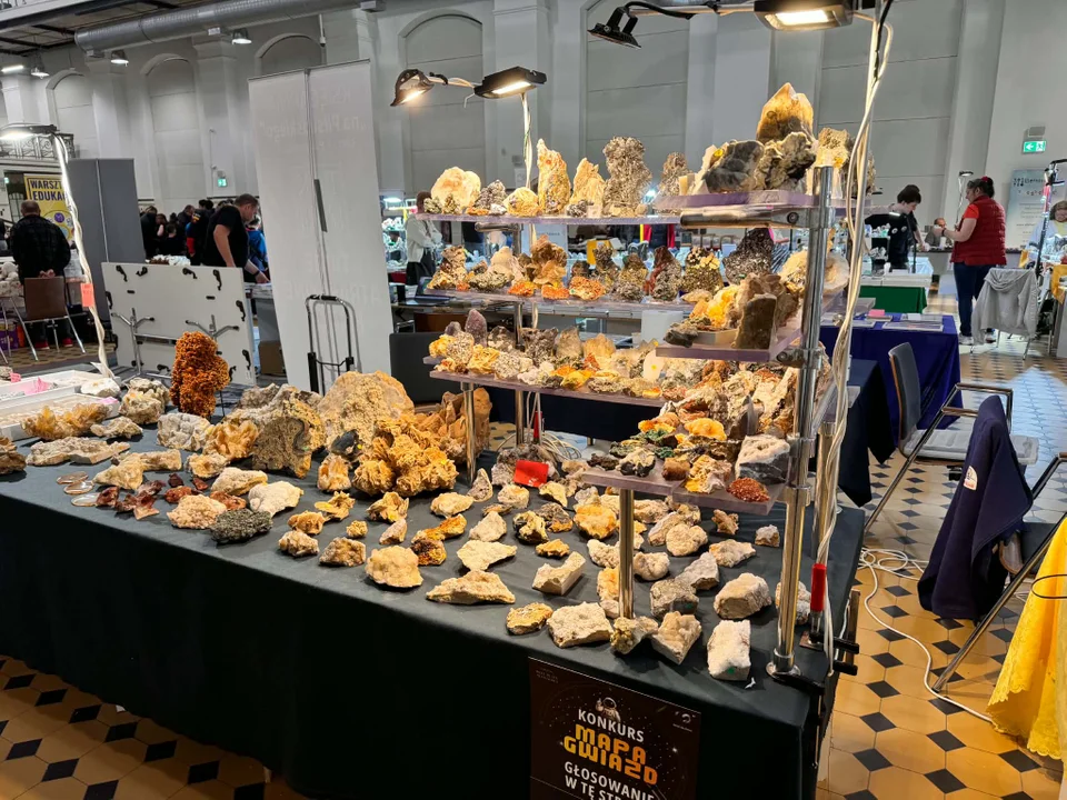 VII edycja Festiwalu Skarby Ziemi w EC1